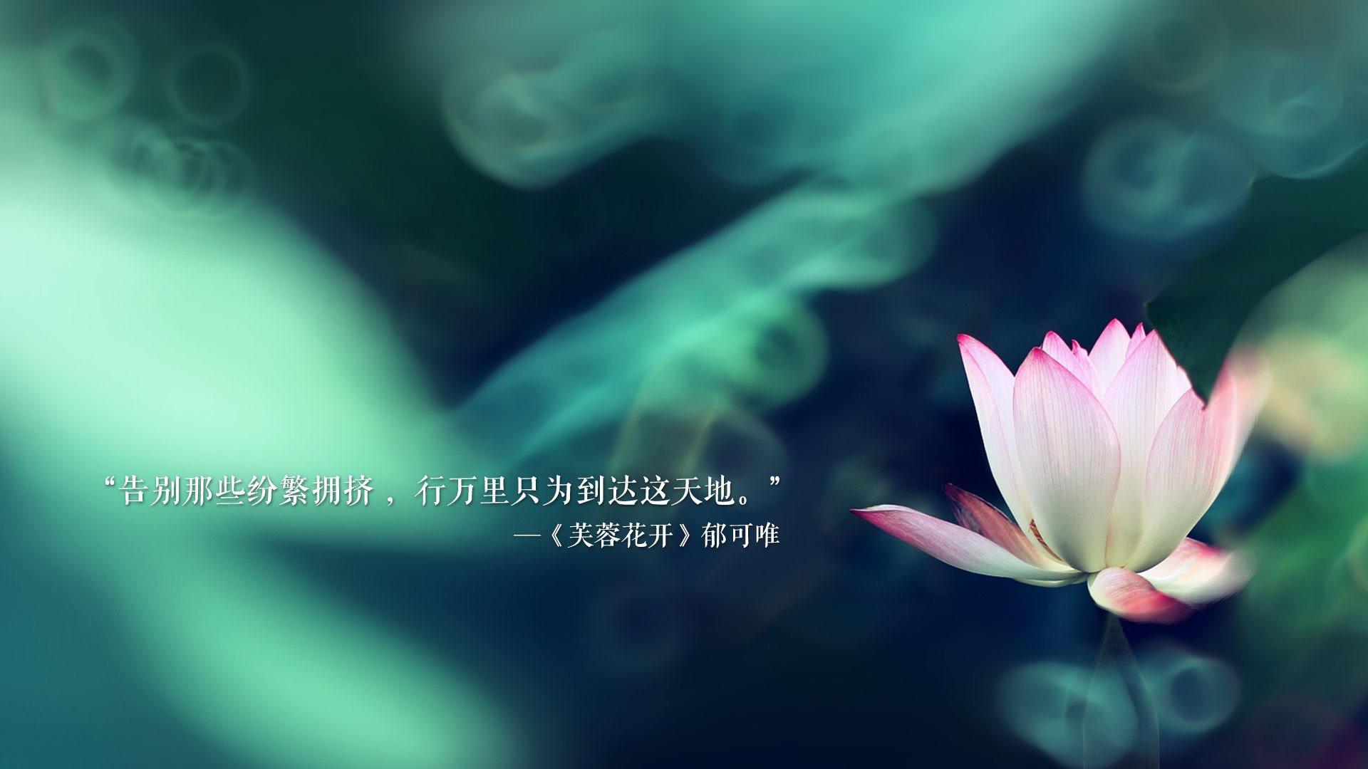 世界举重青训营康复训练教材线上课程招募,世界举重协会